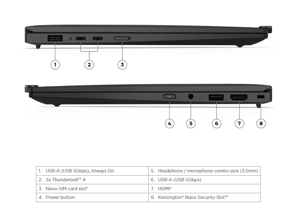 Input Image